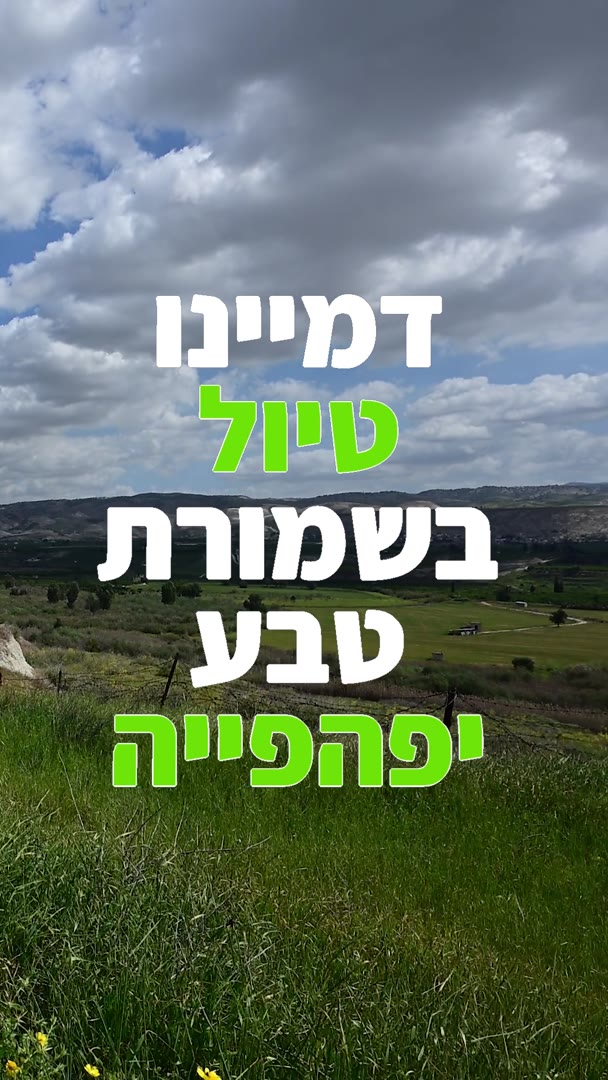 סרטון לעמותה — מתוך תיק העבודות של אברהם לוי